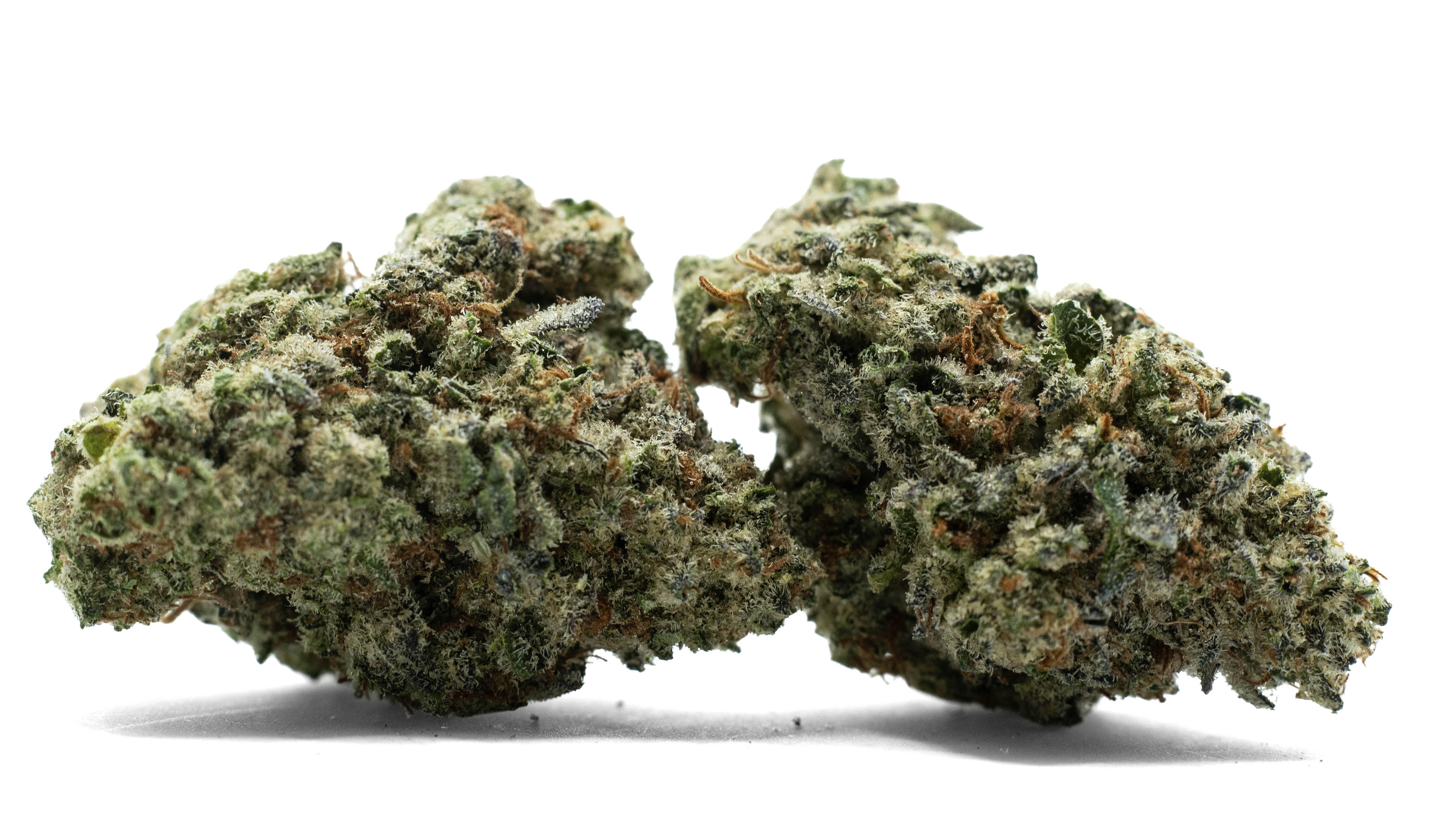 Two up close nugs of weed dark green